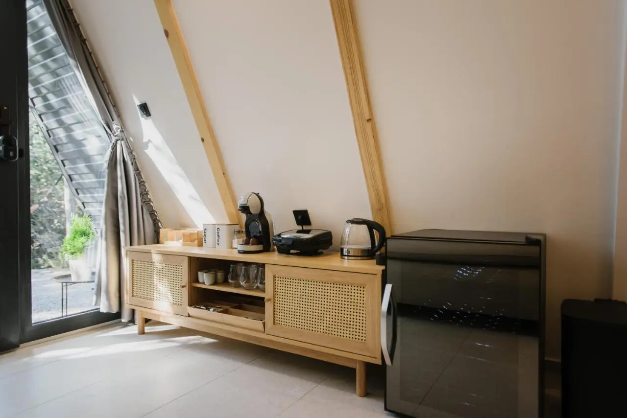 Pinelle Blidinje A-Frame House