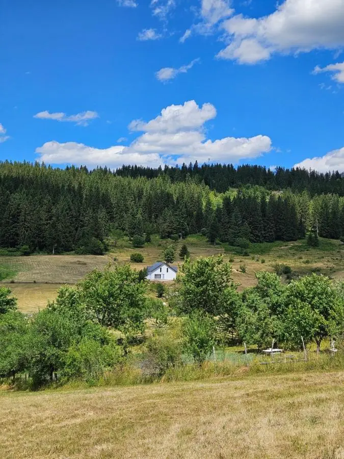 Villa Maglić Vlašić