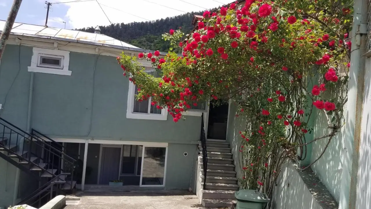 Guest House Green Rose
