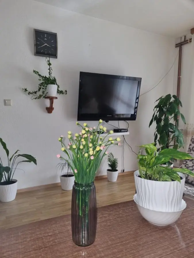 Apartman- Sarajevo