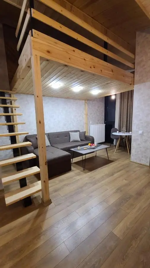 winter house GUDAURI