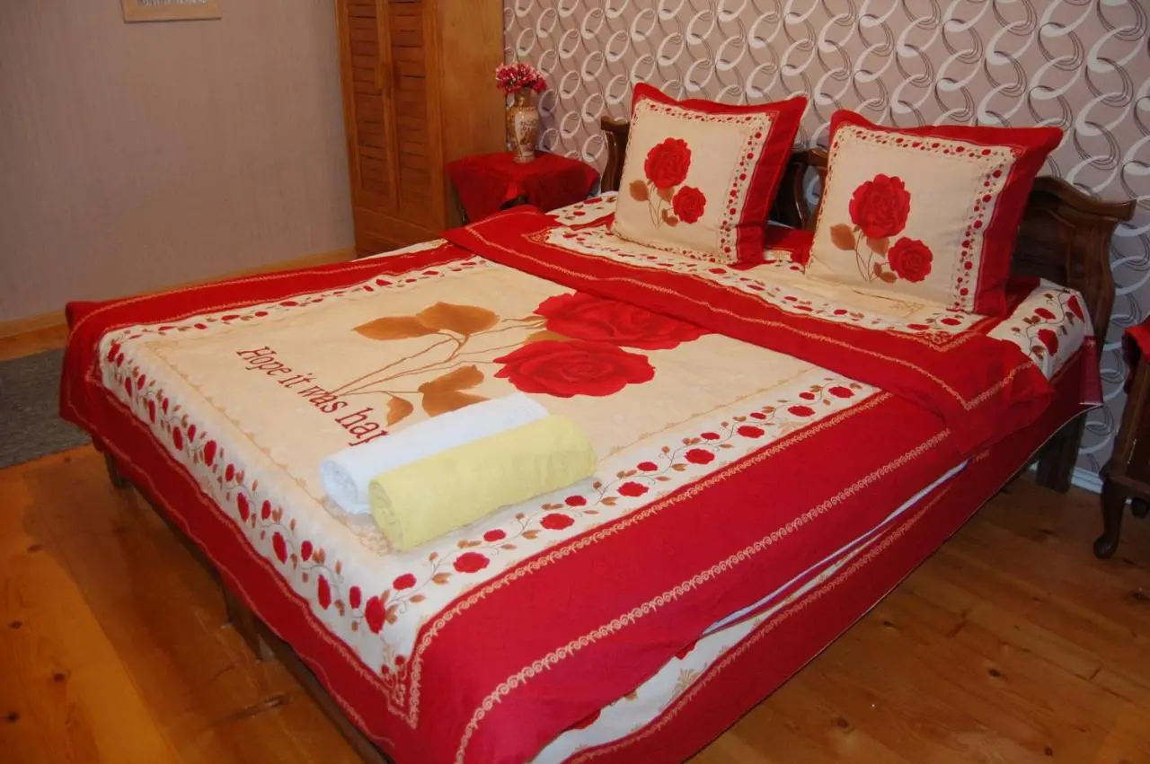 Excellent Hostel Kutaisi
