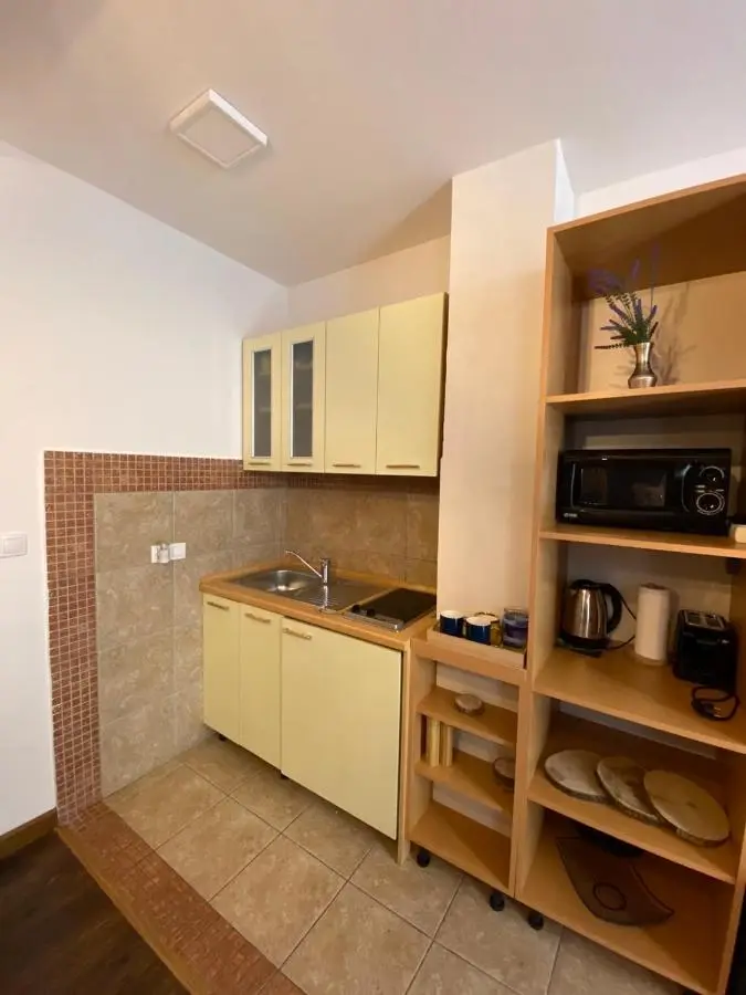 Apartment Blue Eko Fis Vlašić