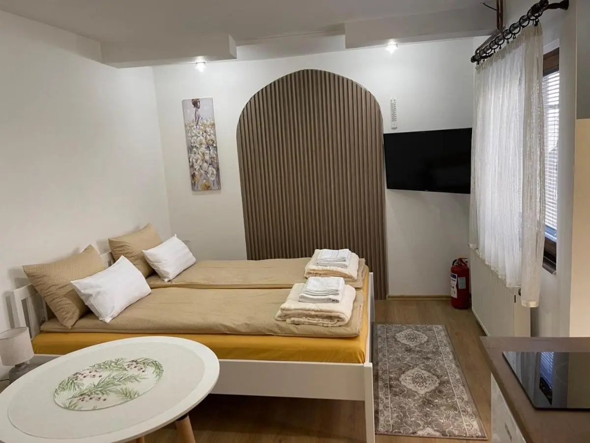 Studio Apartman Sedrenik