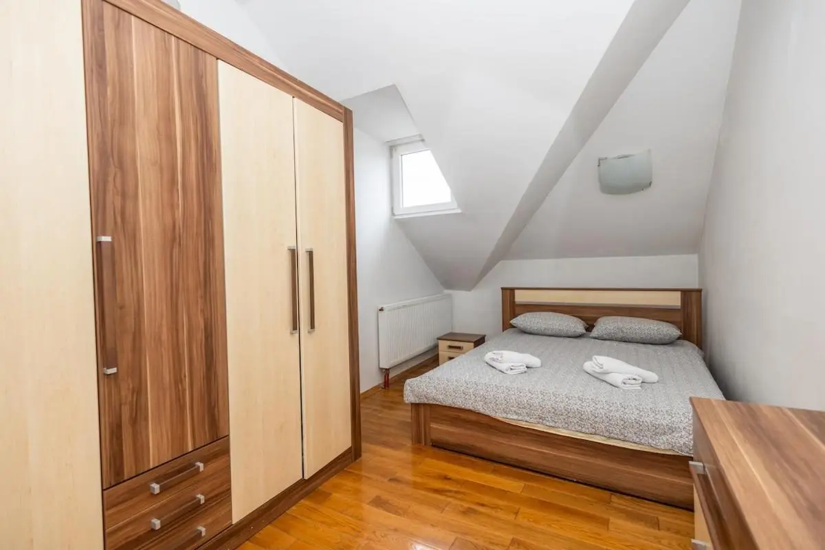 Spacious Apartment in Downtown
