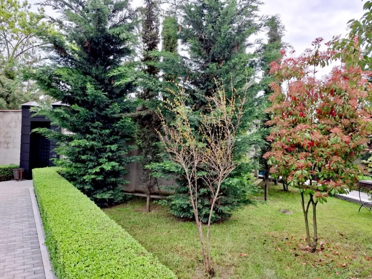 Villa Lux in Quba