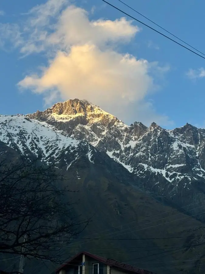 Edelweiss Cottage Kazbegi Mountain Views Near Gergeti
