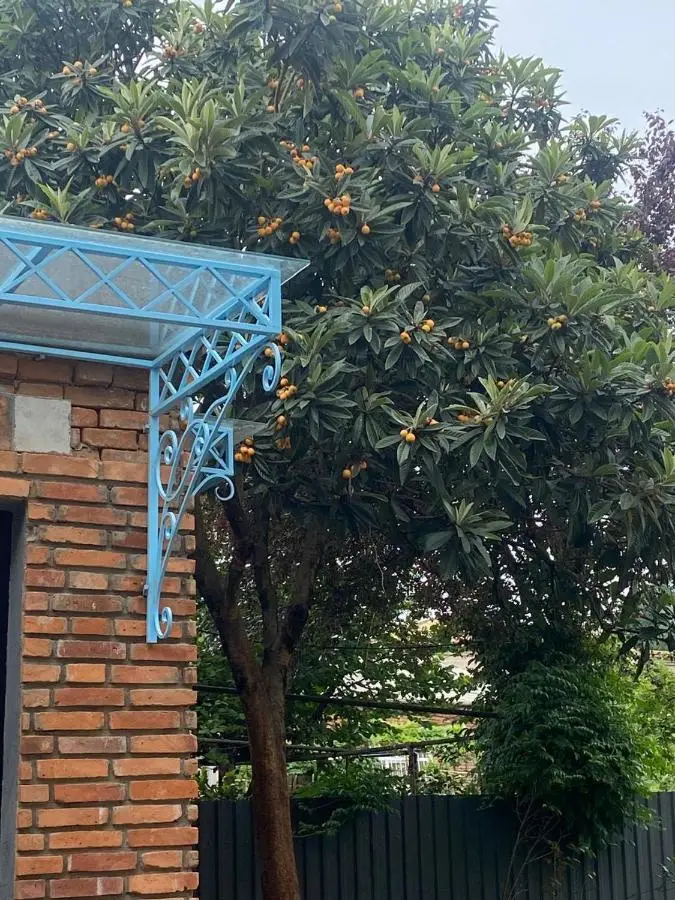 Hotel Varla