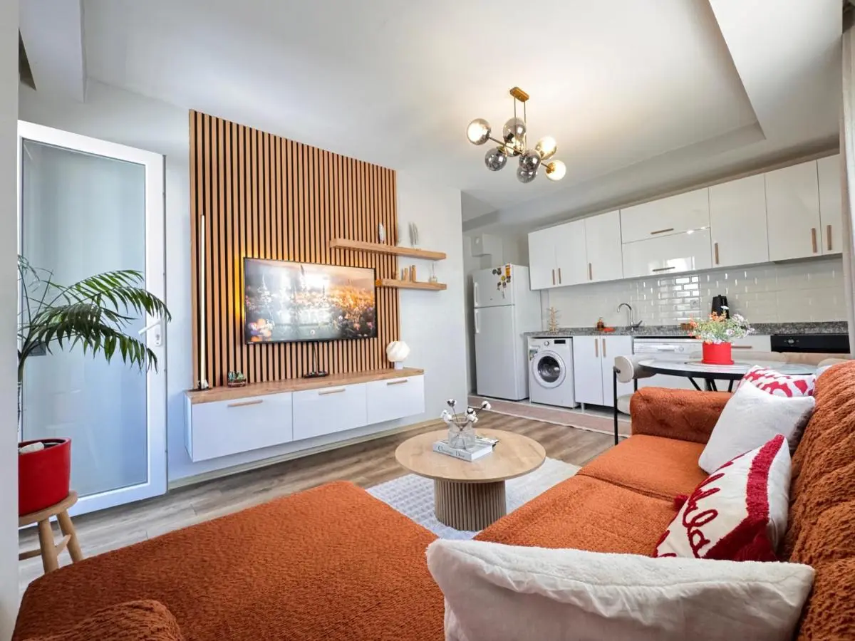 merkezde 2 odalı minimalist ev