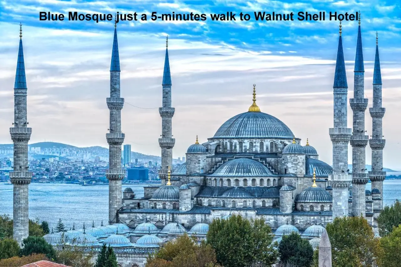 Walnut Shell Hotel