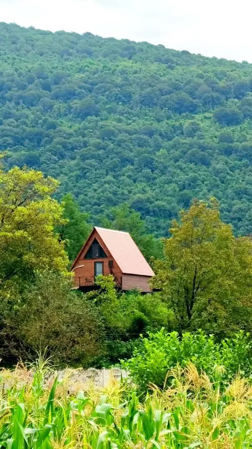 Mira Hills