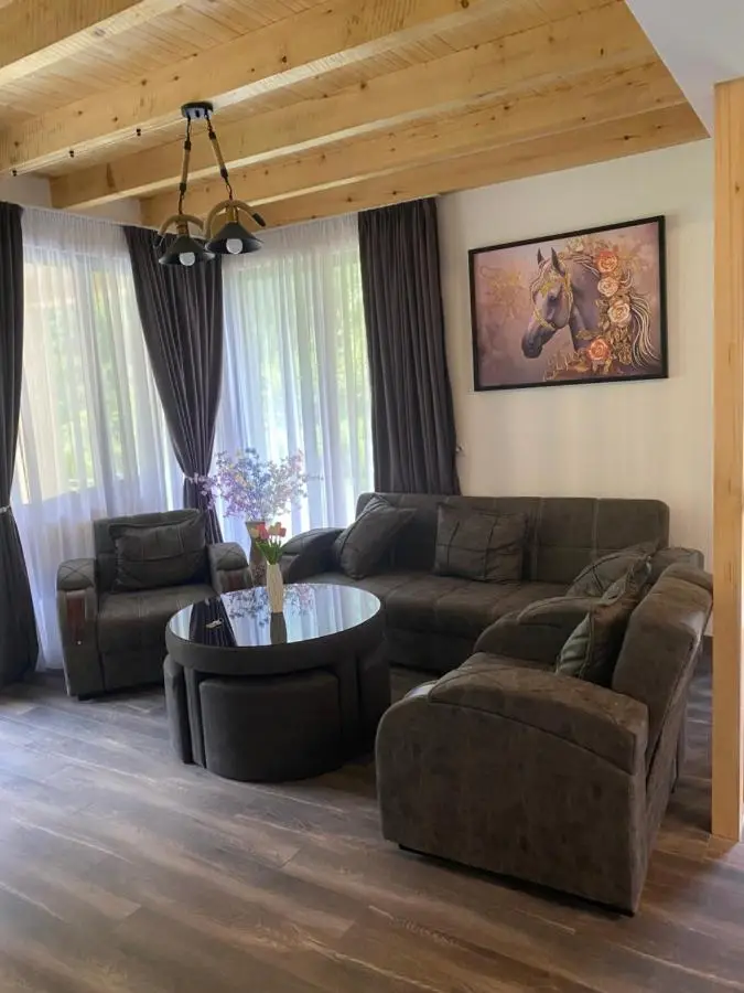 MTA house - Borjomi