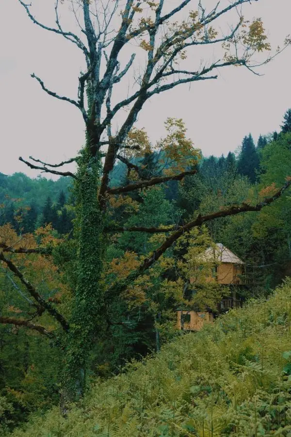 Hill Inn