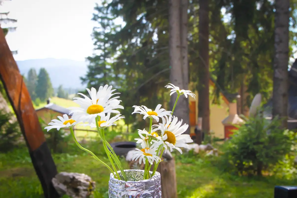 Apartment Vlasic (up to 4 persons)