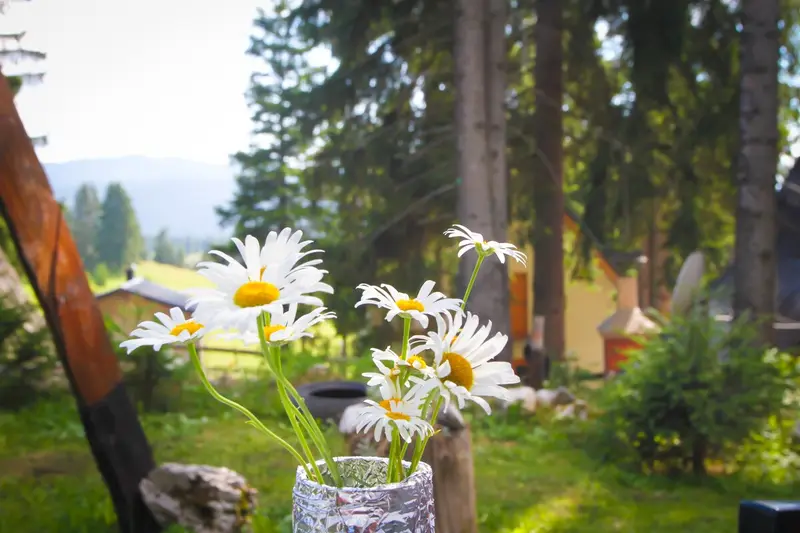 Apartment Vlasic (up to 4 persons)