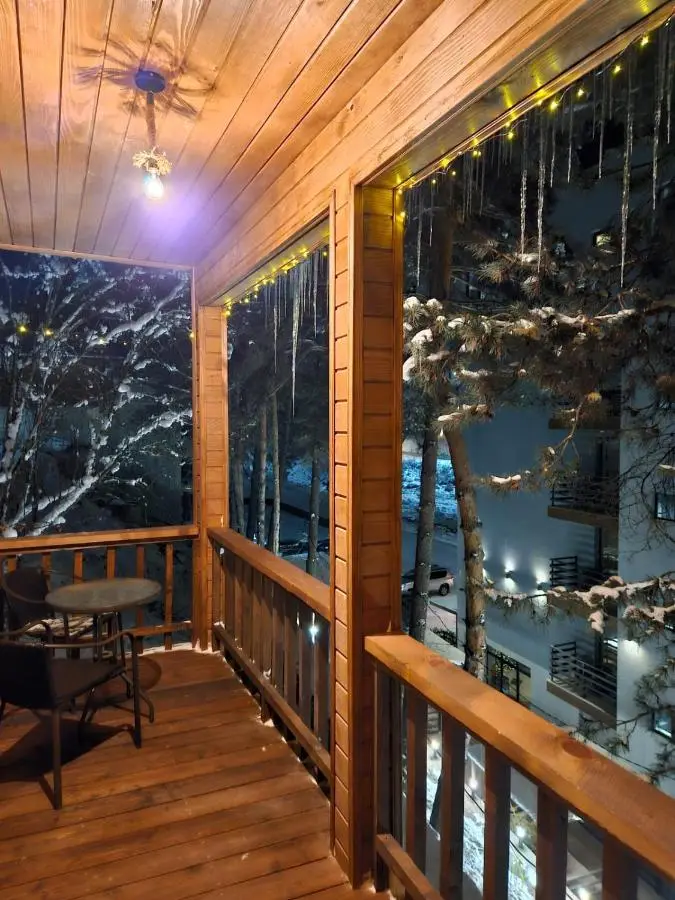 Tatu's wooden hut