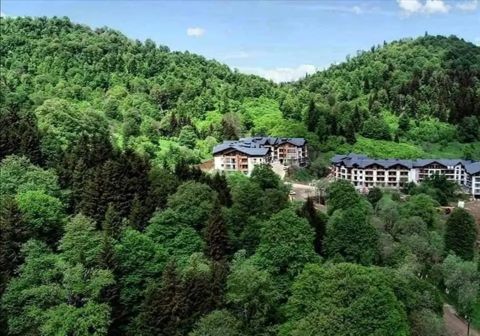 Bakuriani Apartment
