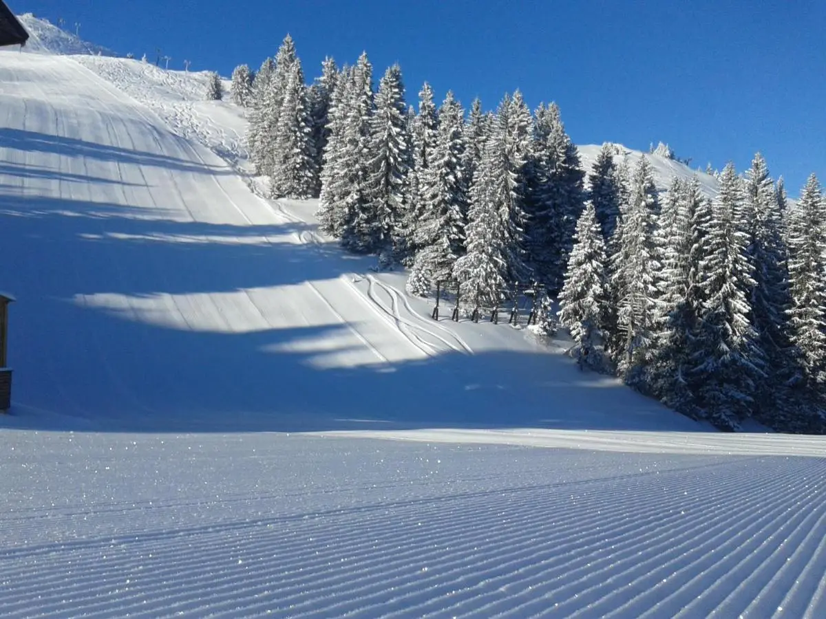 Vikendica Zlatna Žita Jahorina