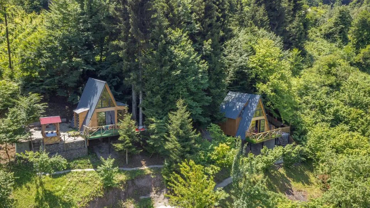 Forest House