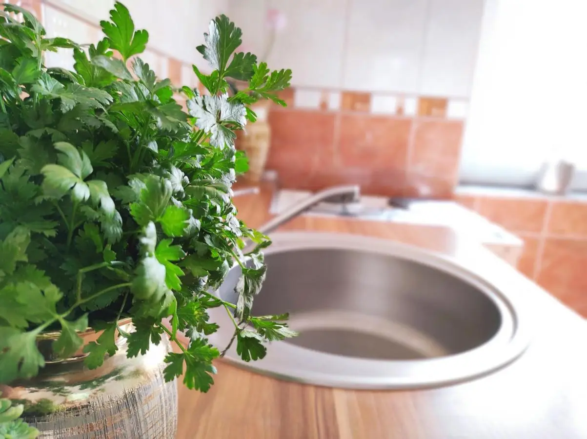 Apartment Katica Mostar