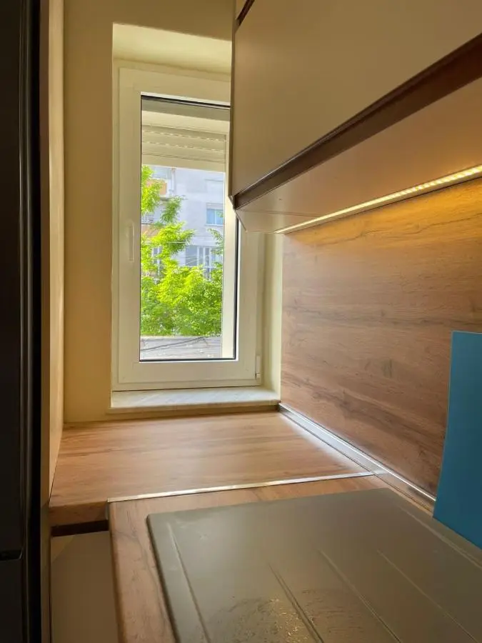 Downtown Deluxe Apartment