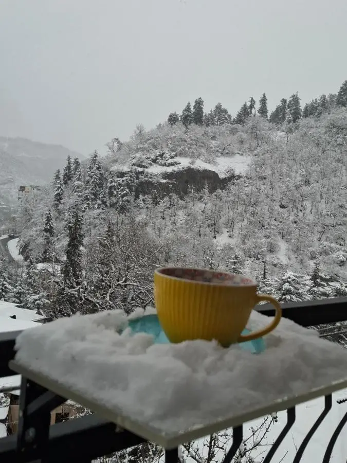 Borjomi Nest 1