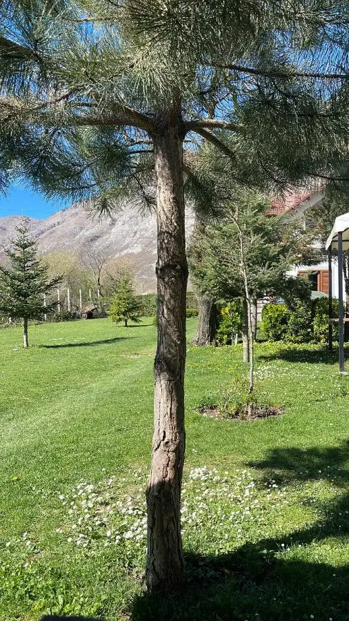 Paja Guesthouse - Camping