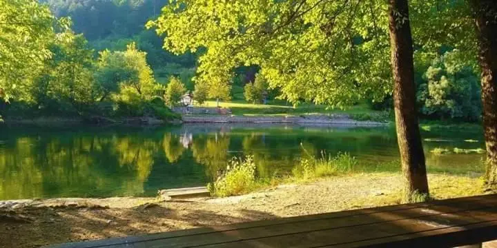 Flora&Fauna
