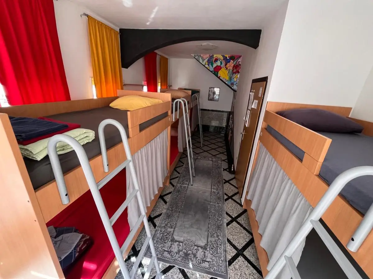 Hostel Backpackers