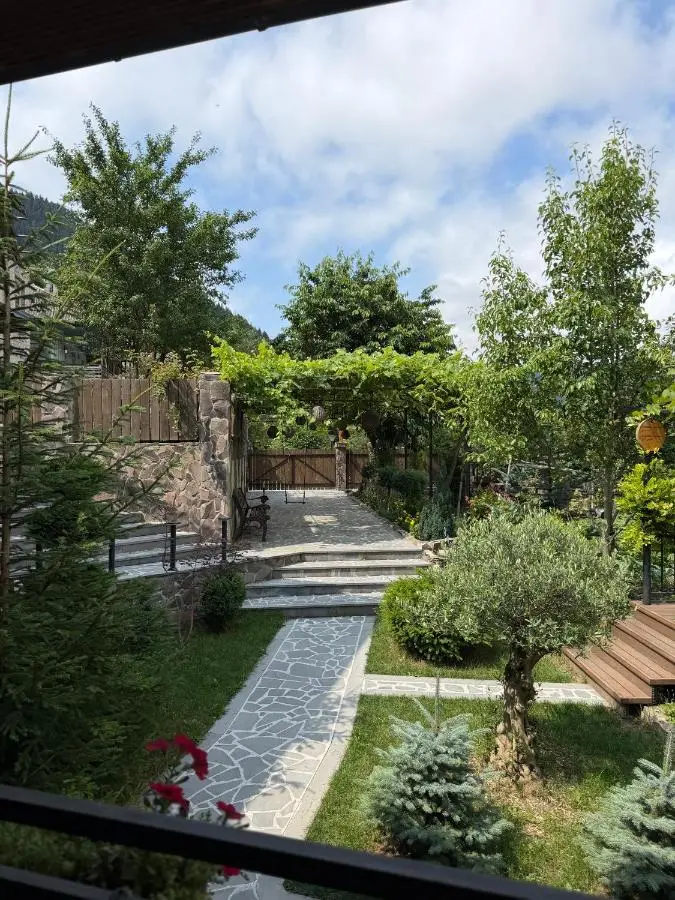 Hotel Borjomi Verde
