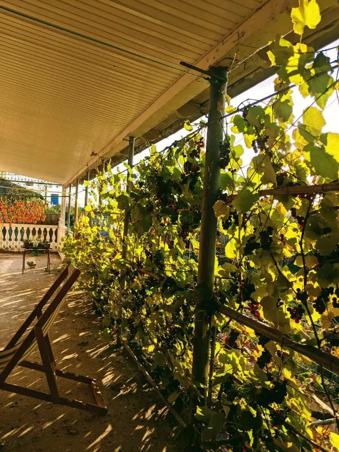 House - Kutaisi International Airport 15 Minutes- Quiet cozy house with parking