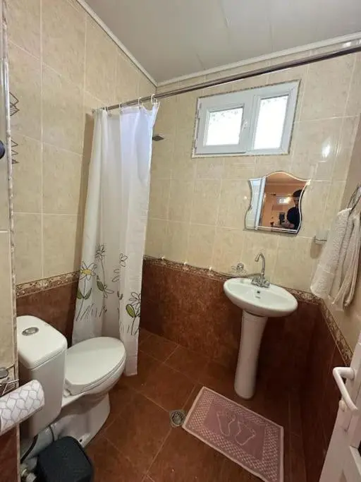 Sweet home kutaisi