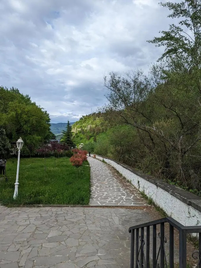 Gari's apartment next to Borjomi Central Park