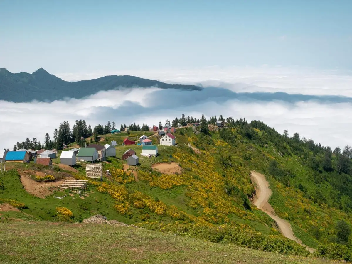 Dumbo Eco Camp