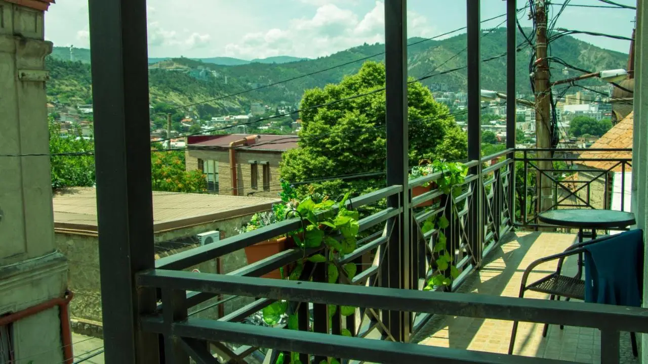 Hotel New Metekhi
