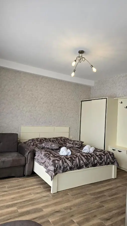 Bakuriani apartment 205 Tsakadze st 20