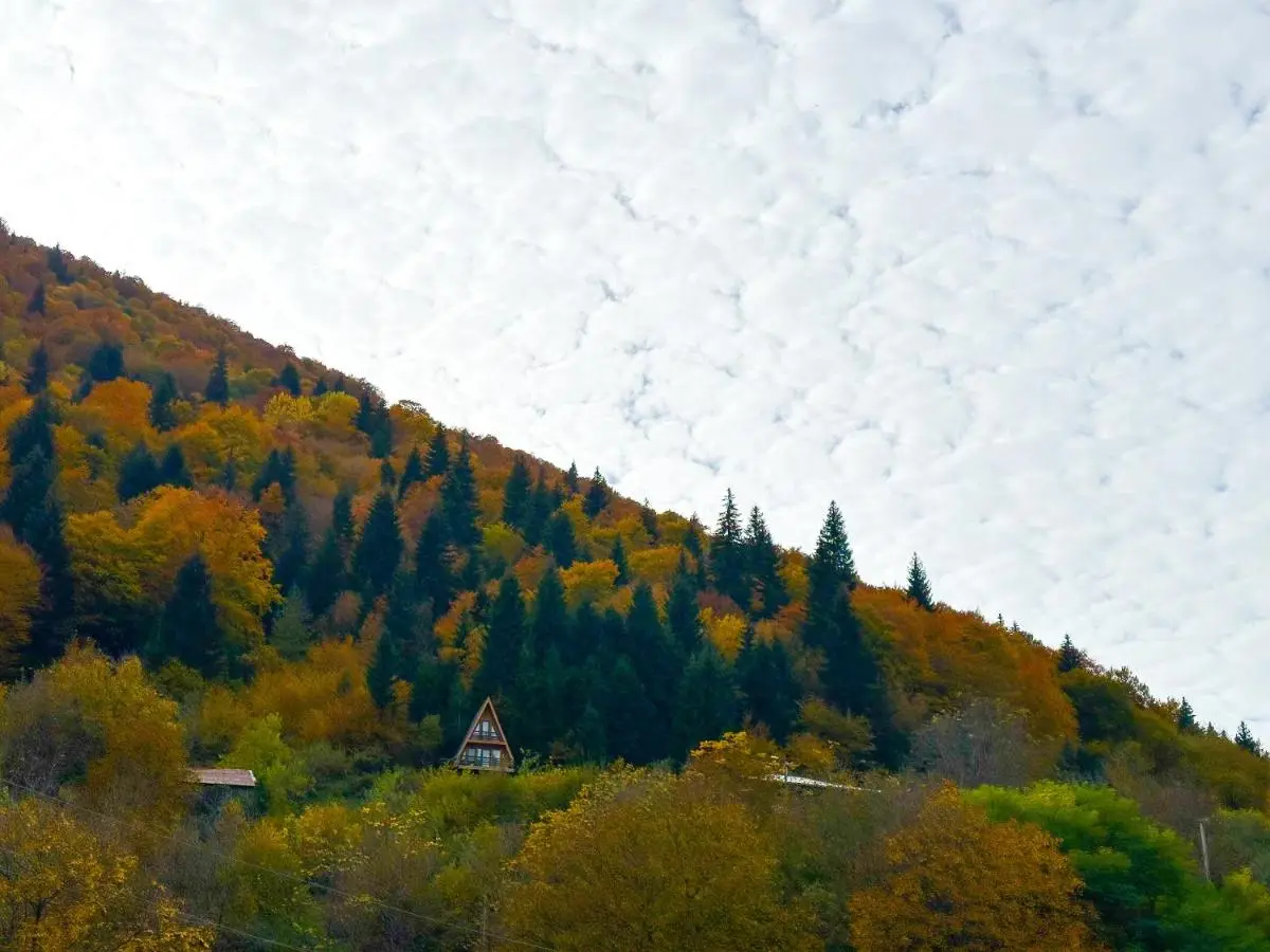 ლენტეხის მთის სასტუმრო - Lentekhi Mountain Inn