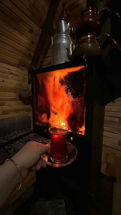 Kayabaşı bungolov