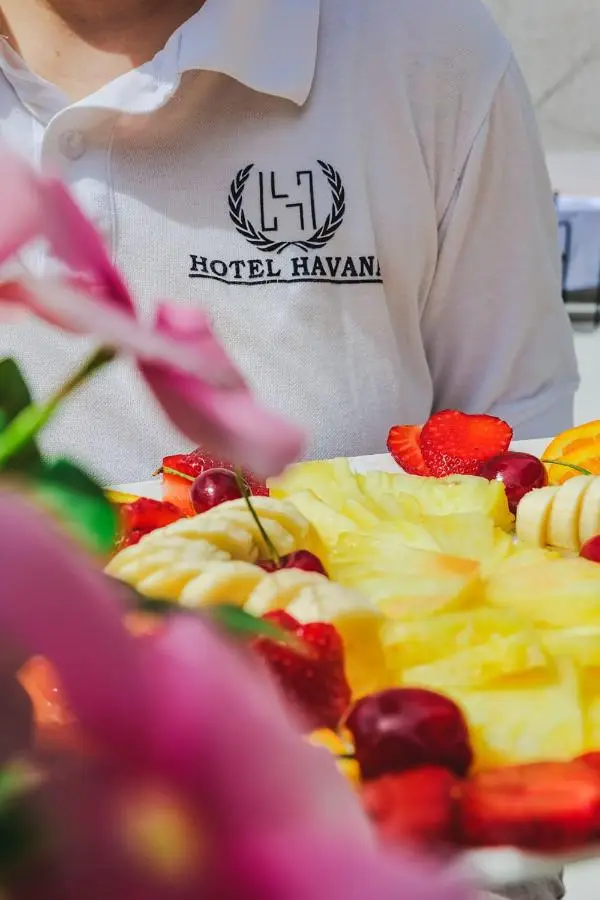 Hotel Havana