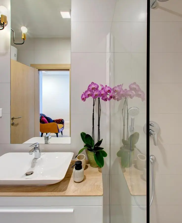 Luxury apartment Concept