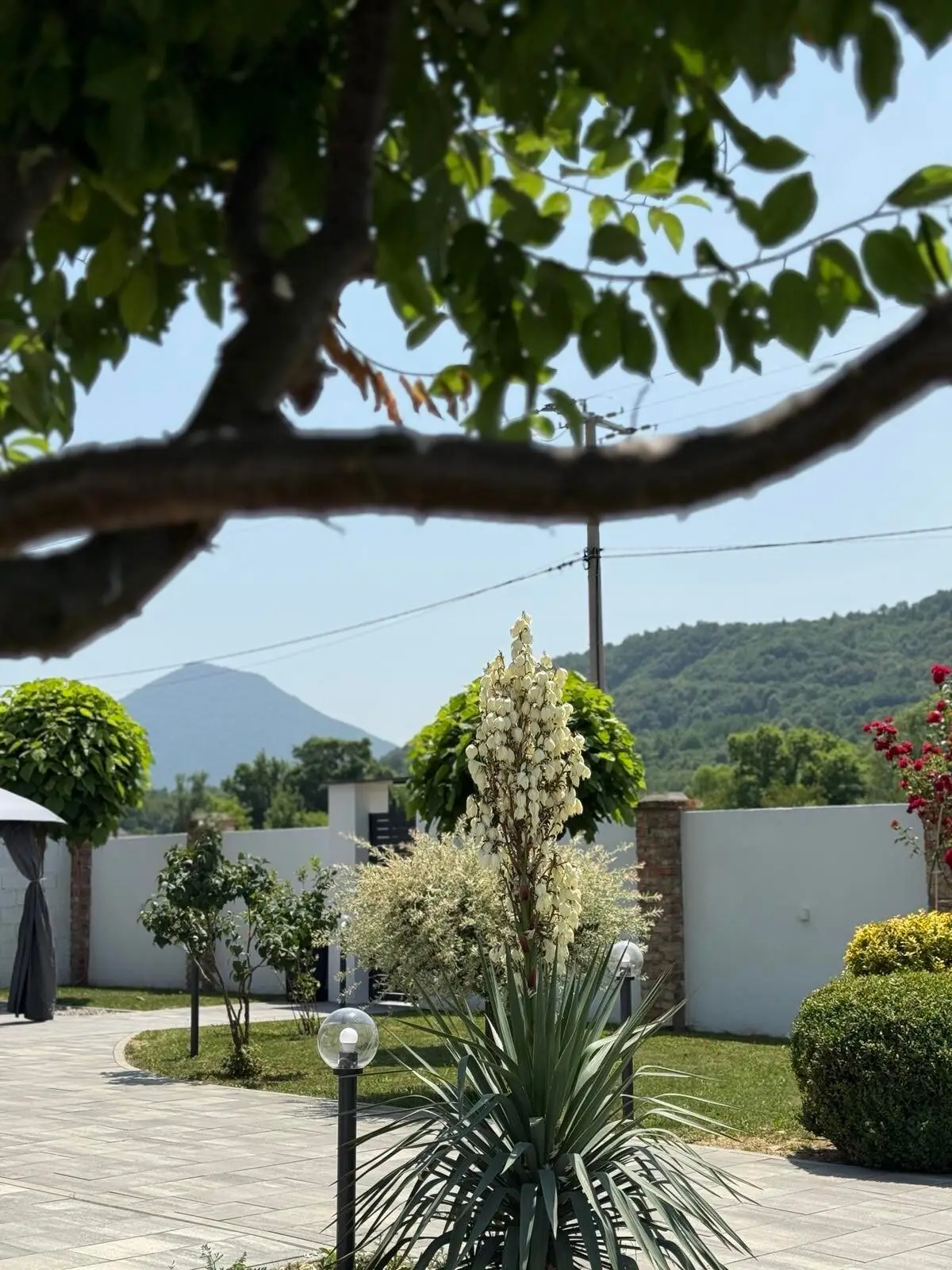 Hadzal's courtyard