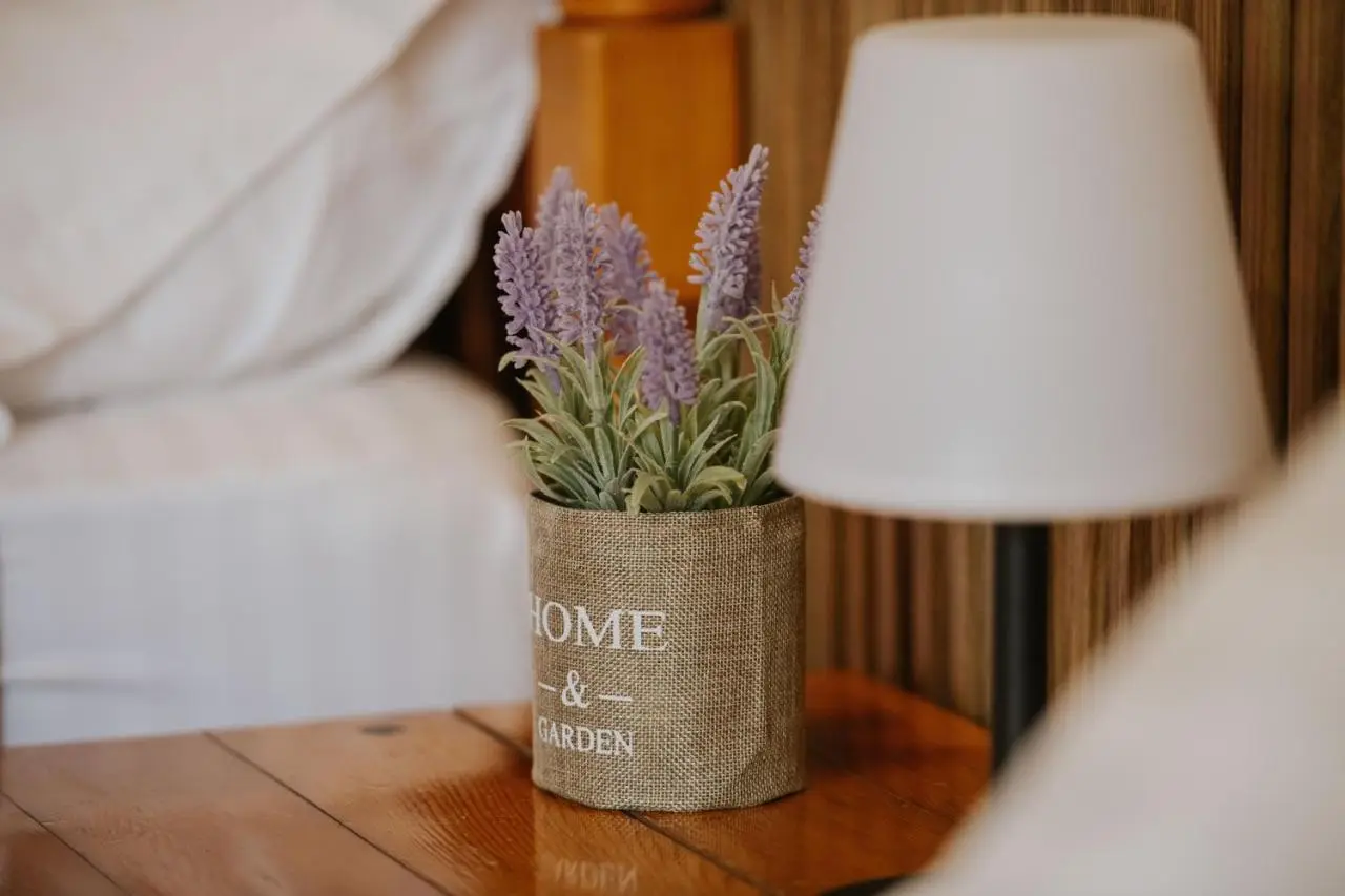 Borealis Guest House