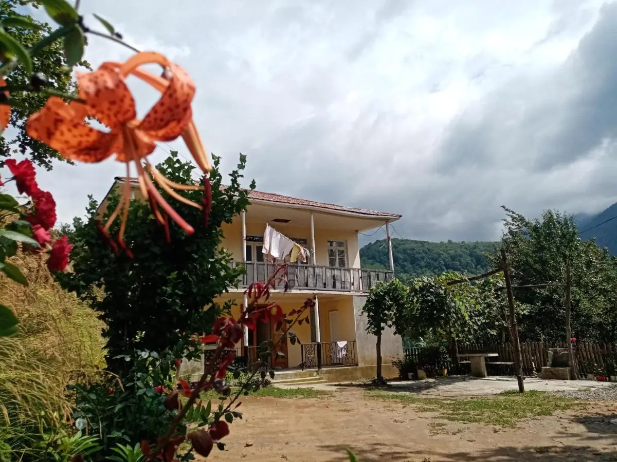 Rolandi's House