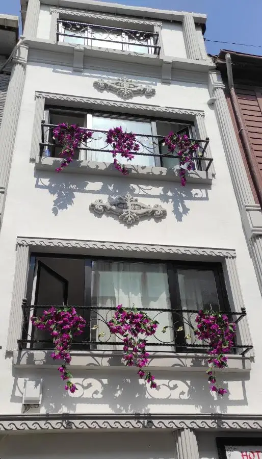 Hotel Estambul