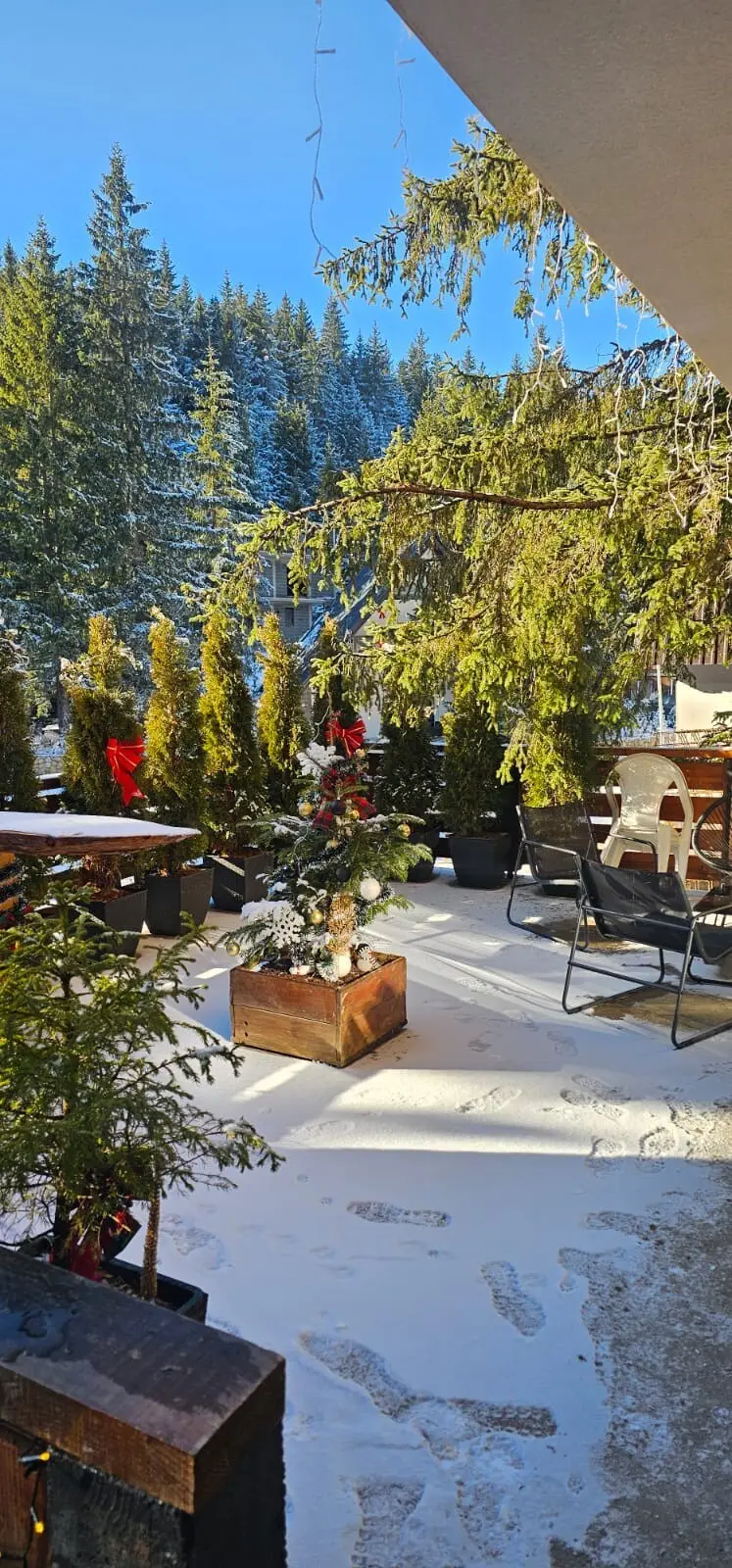 MountainHouse Star