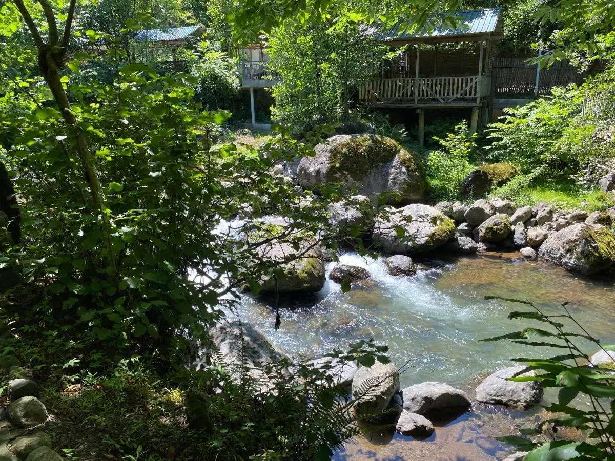 Venera's Guest House