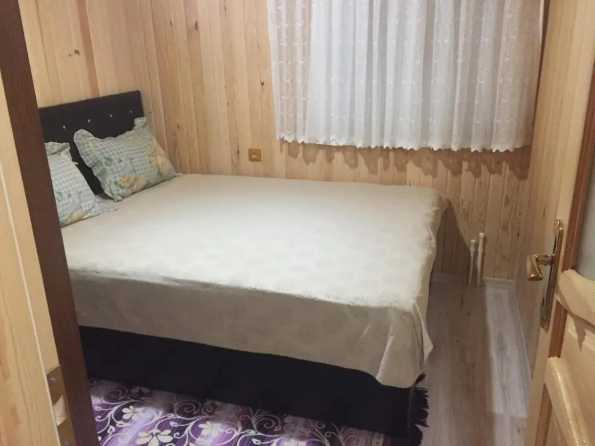Turan Dağ Evi