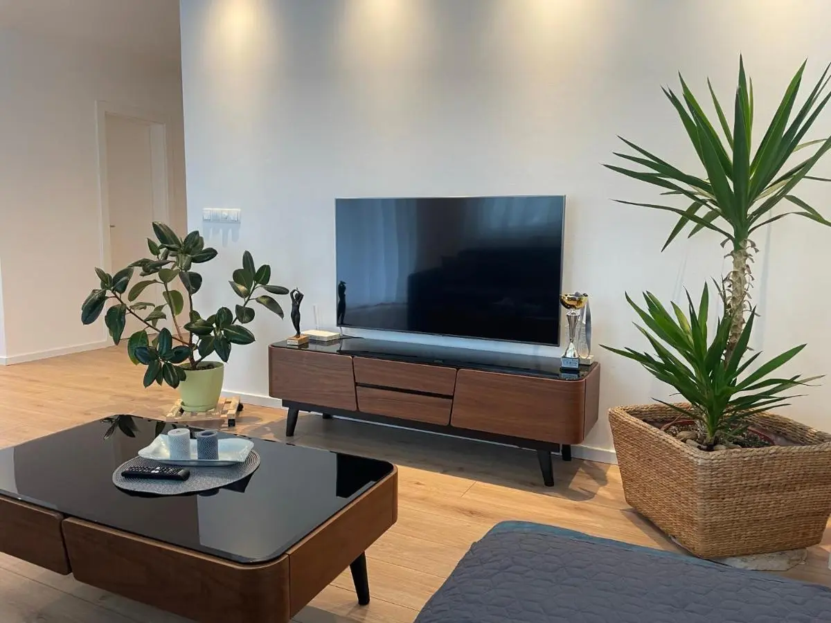 Beautiful modern apartment with large livingroom