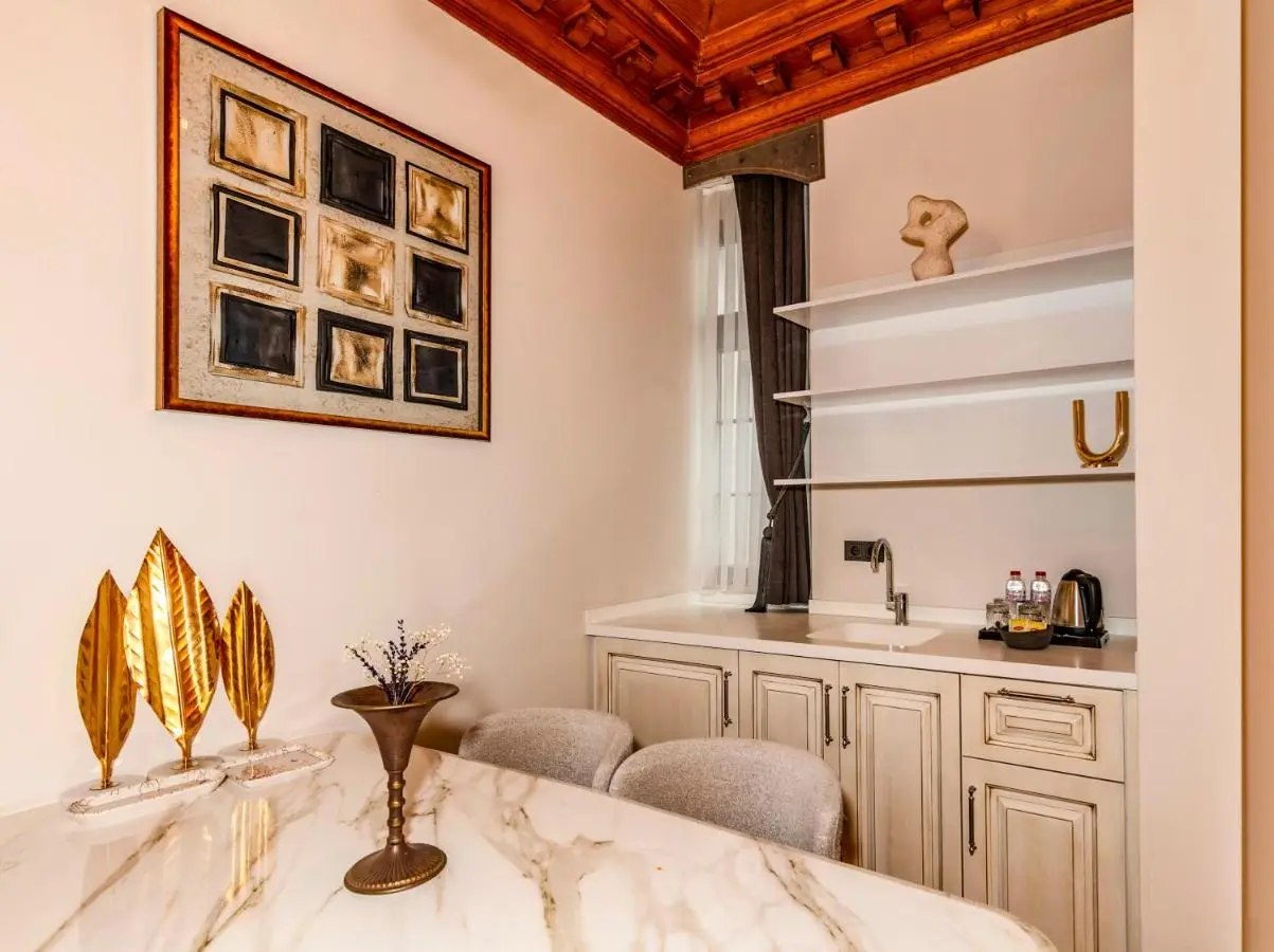 Elmira Pera Hotel & - Special Class
