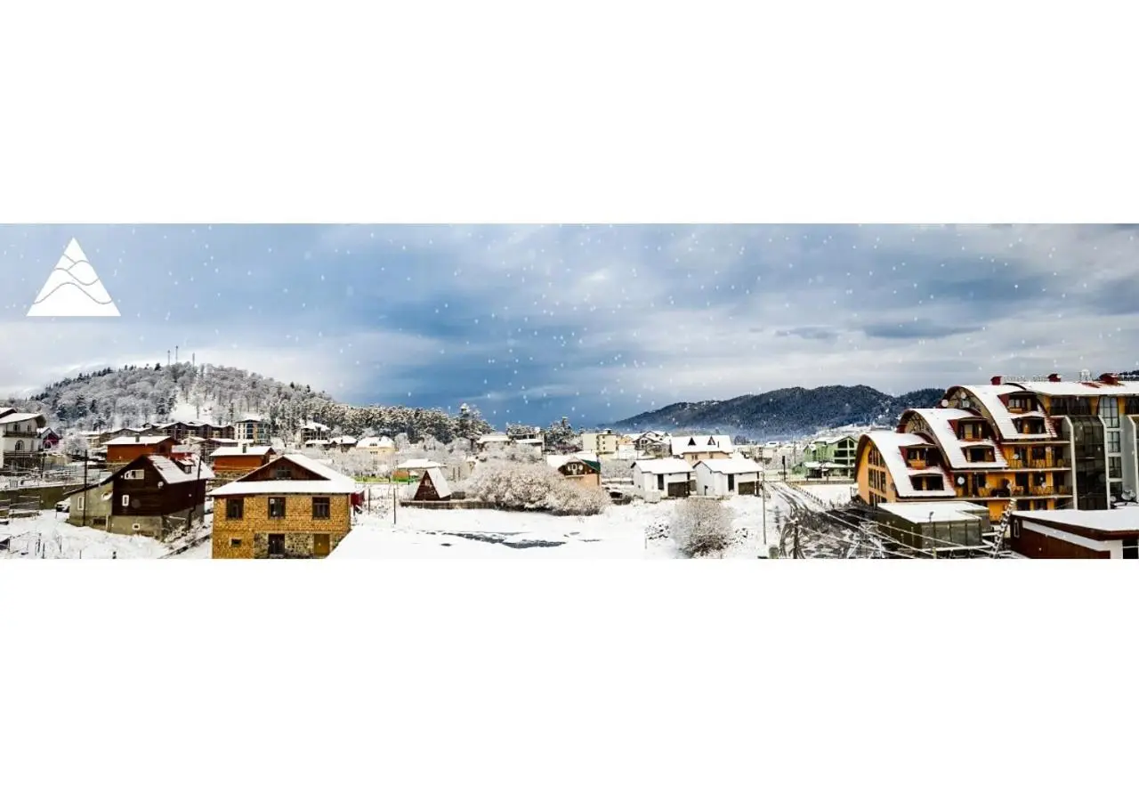 My House in Bakuriani